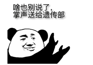 小洞7.gif