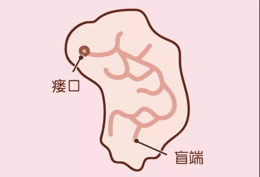 小洞6.jpg